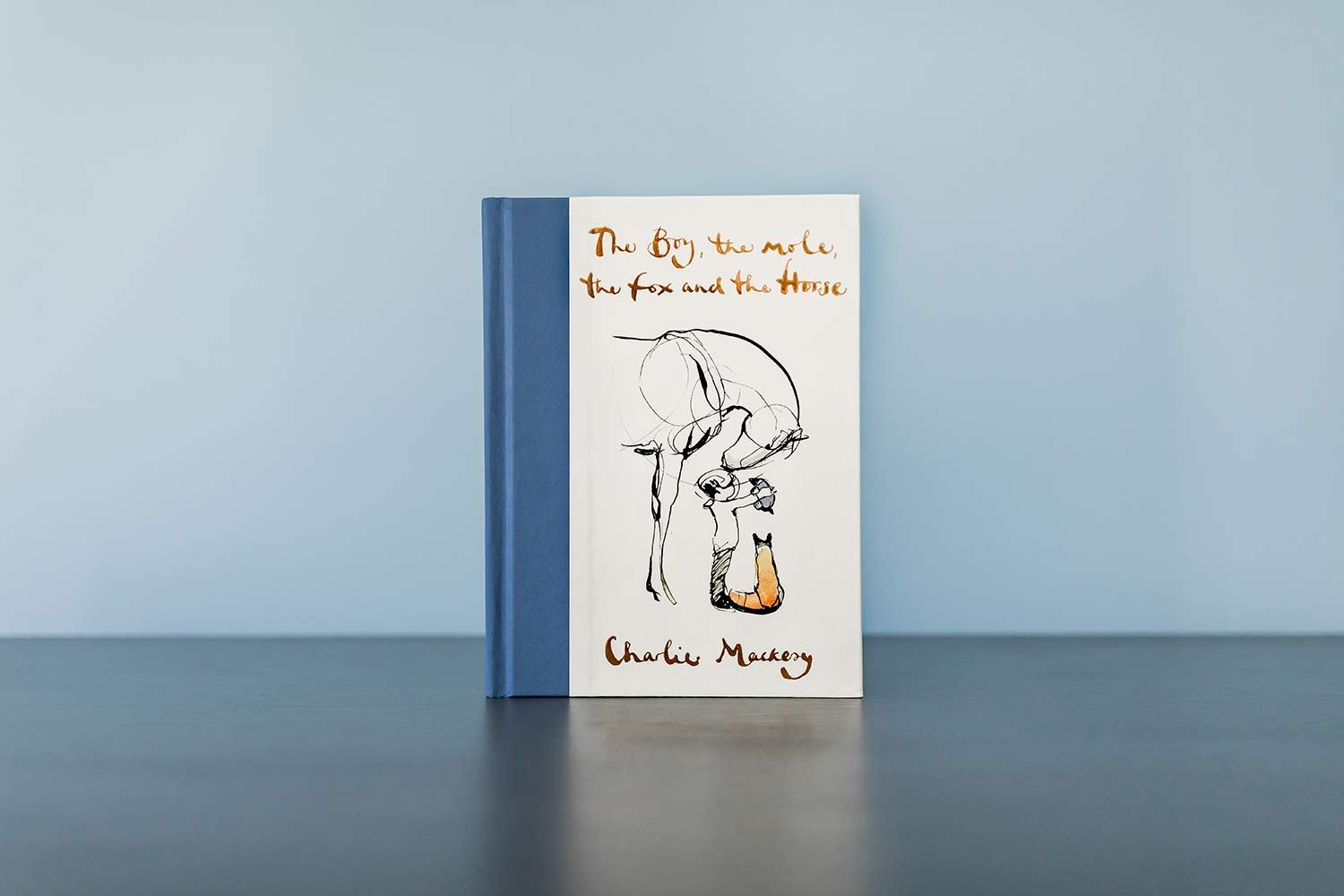 The Boy, the Mole, the Fox and the Horse Book | $11
