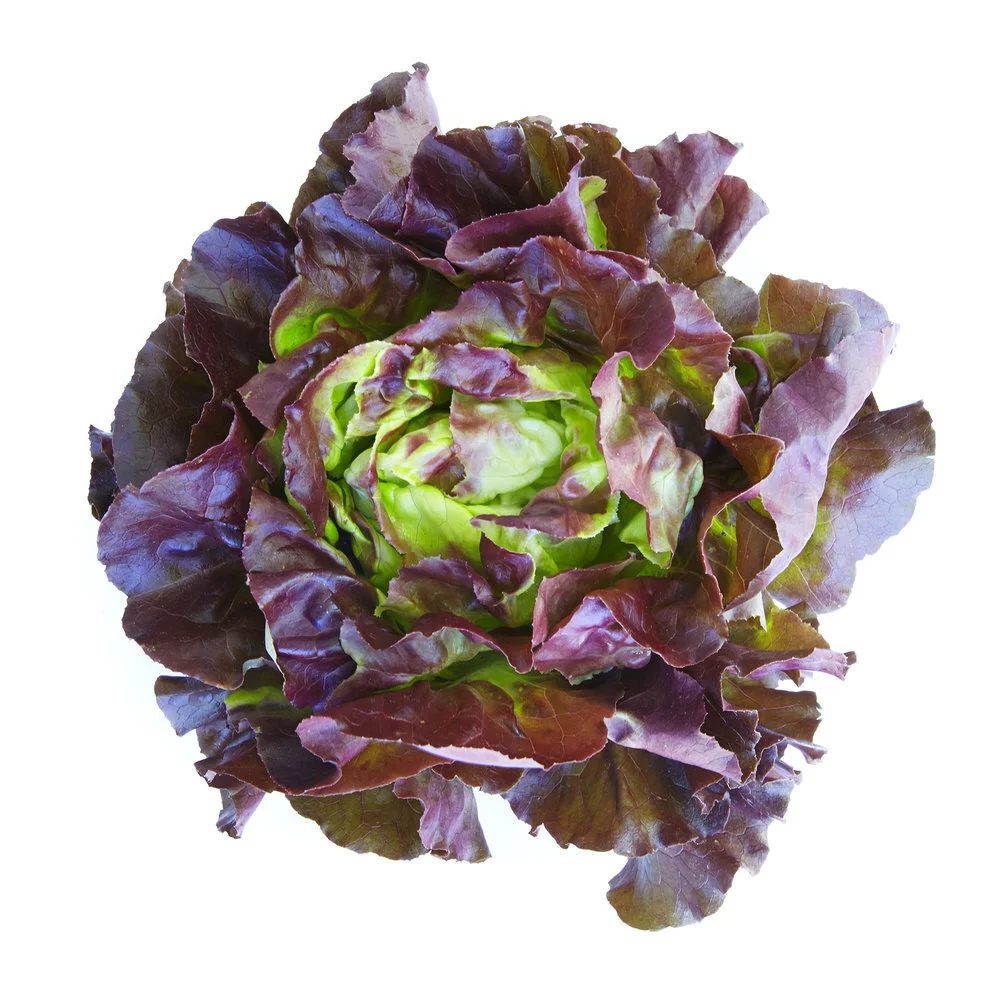 6555266F-C008-4CA9-AA6B-9FD90D959FB1