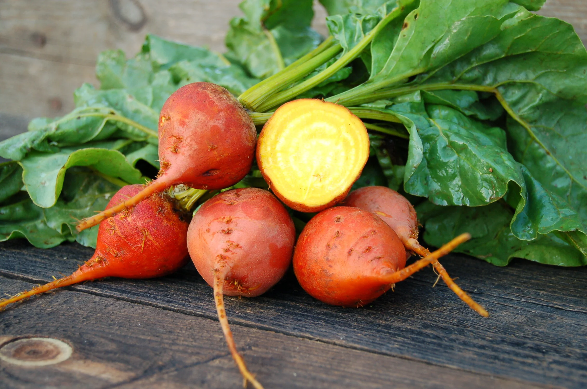 Beets - Golden