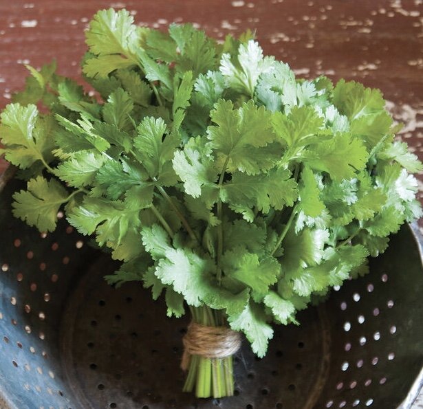 C4FD8F49-CB3F-48D3-8ADD-8F1D5F0944D6