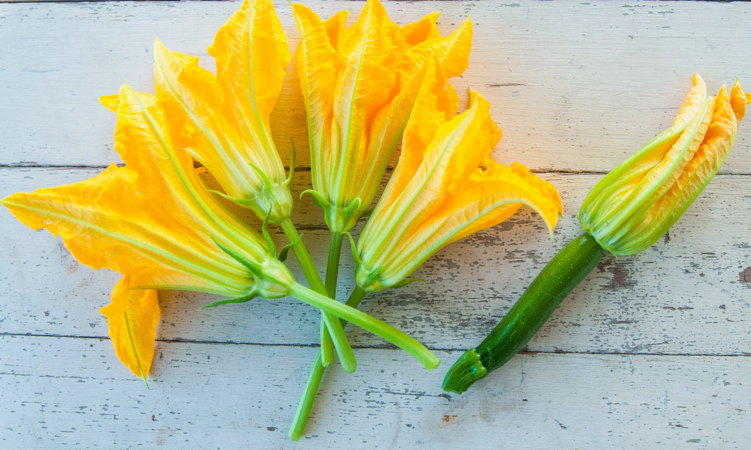 C1861177-E9DA-4669-AA8D-AA453EC621D3