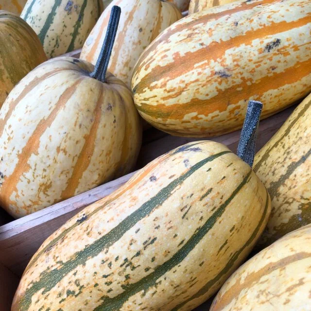 D9900793-22EA-43D3-B9E3-109EC3427A72