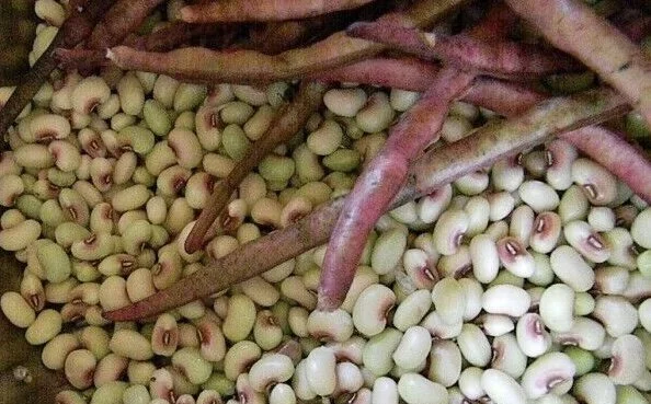 Peas - Fresh Pinkeye