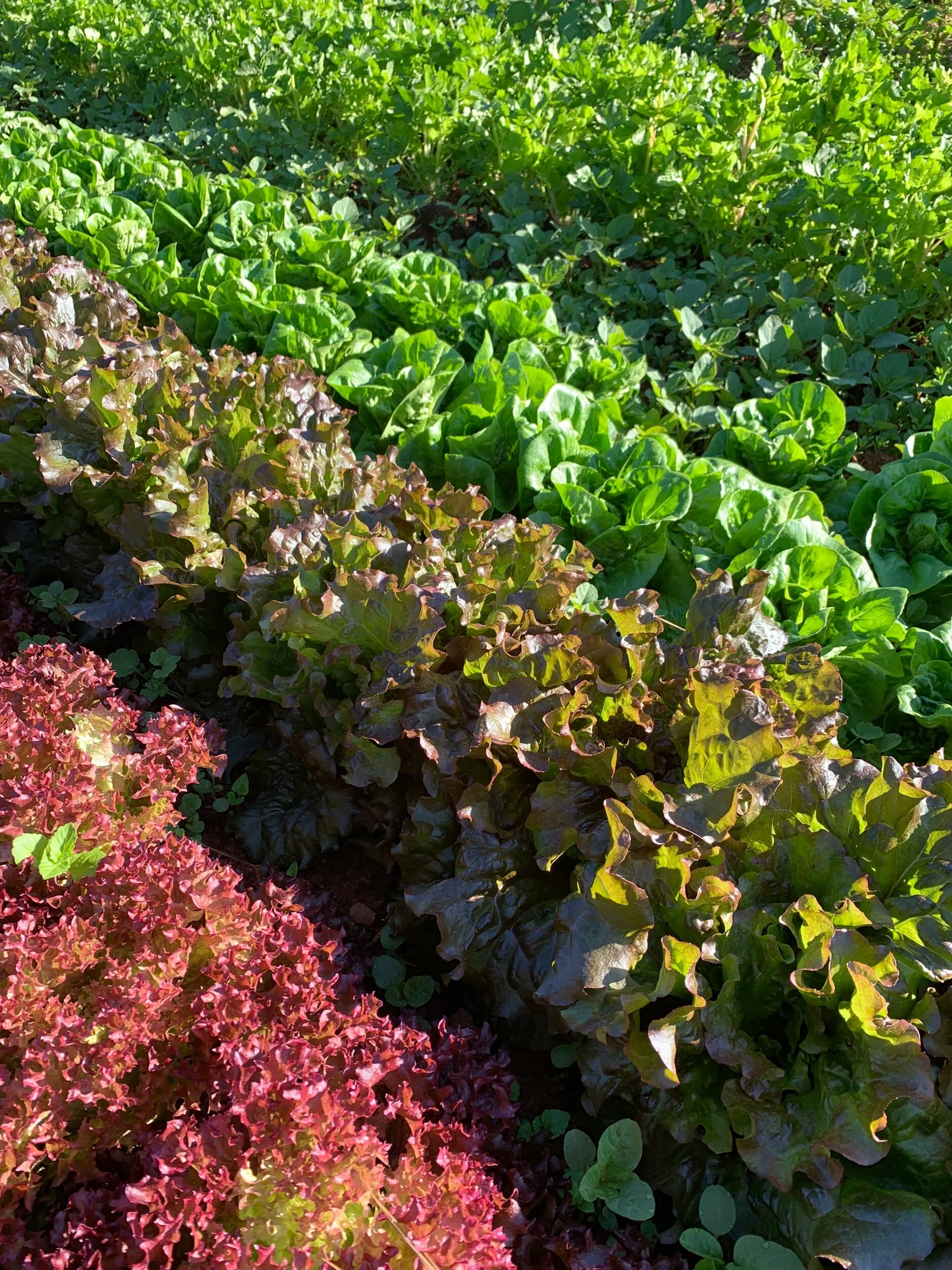 8D5B7AD1-6F2F-4621-A801-A6B13BFCD52C