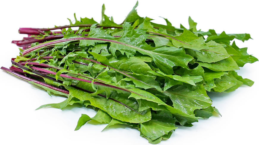 EACDDA49-0699-4088-A0DD-CA2797DBF951