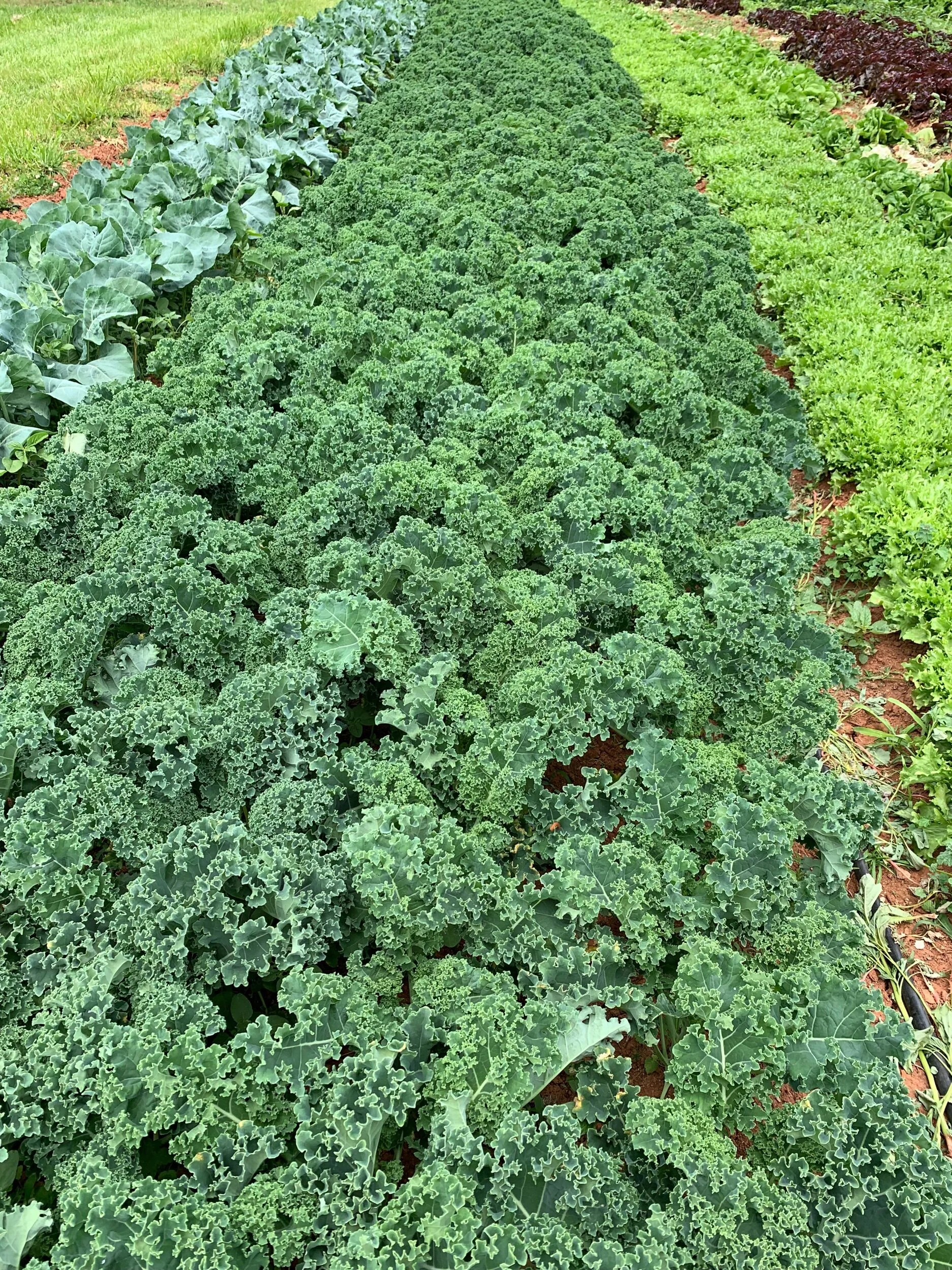 071405C8-88EB-450B-B189-183AC7D622B9