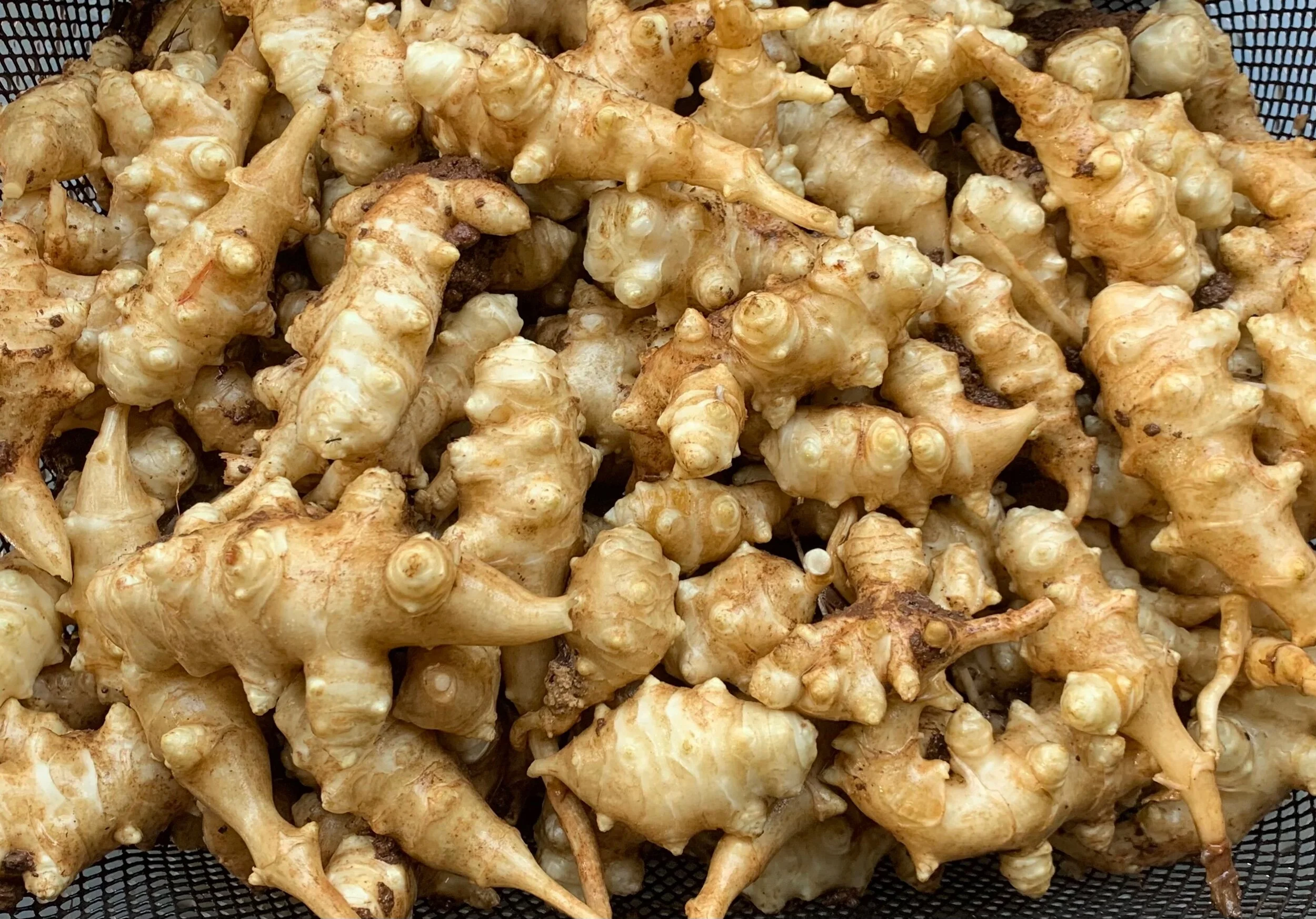 F0199C4E-85FC-4B7D-BC95-4B7190C440DF