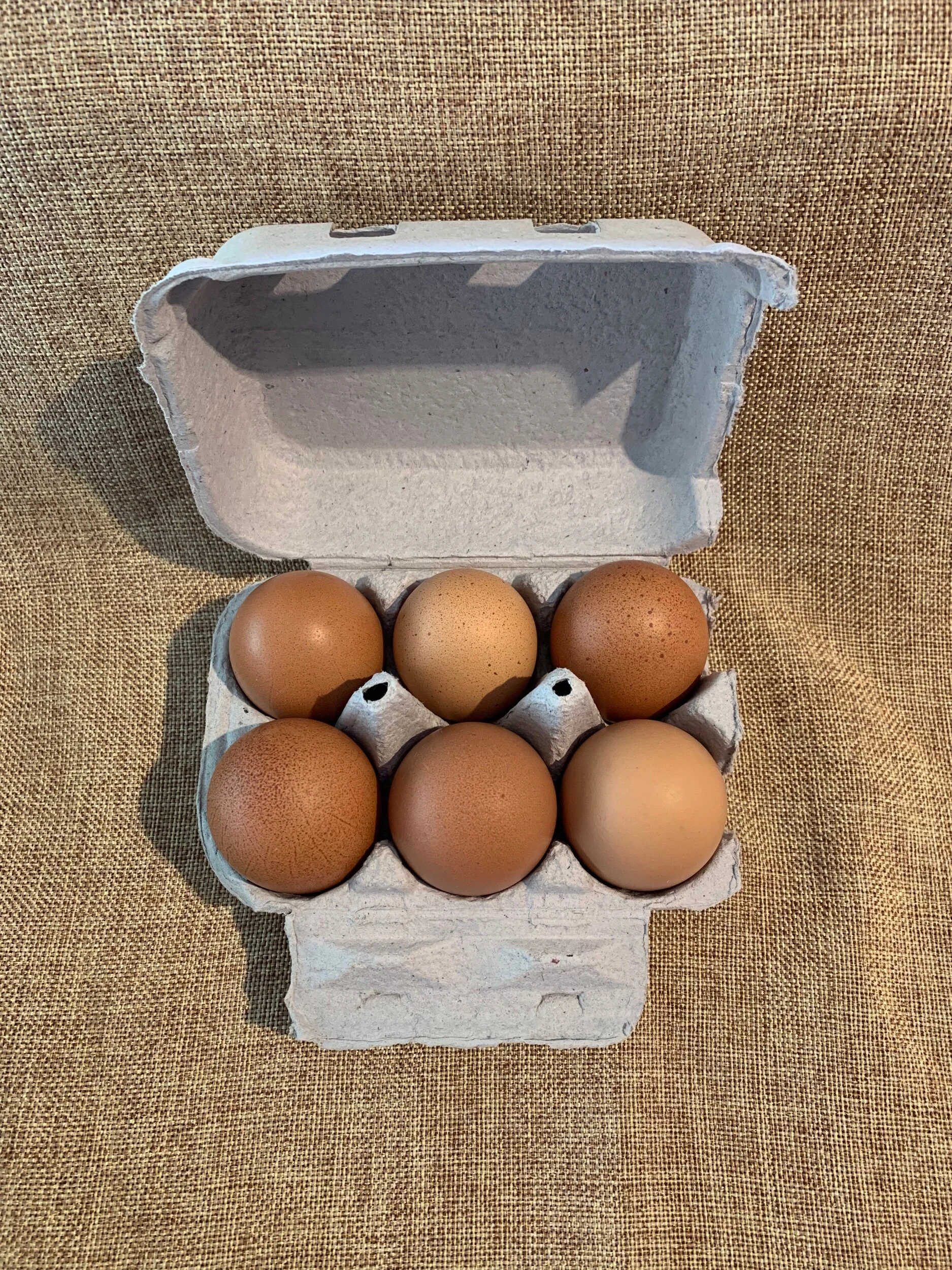 15956C74-45C8-45B5-8D46-D4520618532B