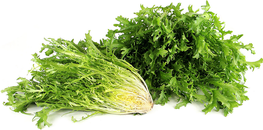 EA6FDDE5-A402-4975-A8B1-C238290F92AE