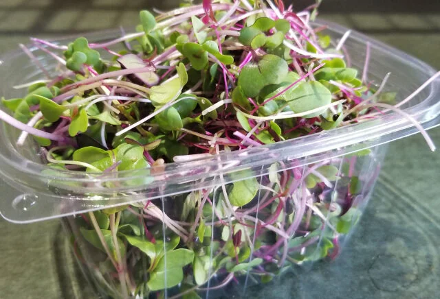 580C33EB-3898-44AA-876C-E67012AA4EA9