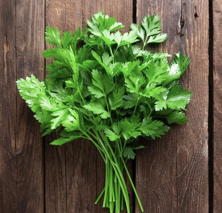 DC09BBD1-D382-4F4E-8EC4-9EEDC118A5A1