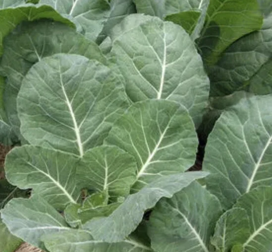 6E6596A9-0727-4BD2-8698-028A0900CF55