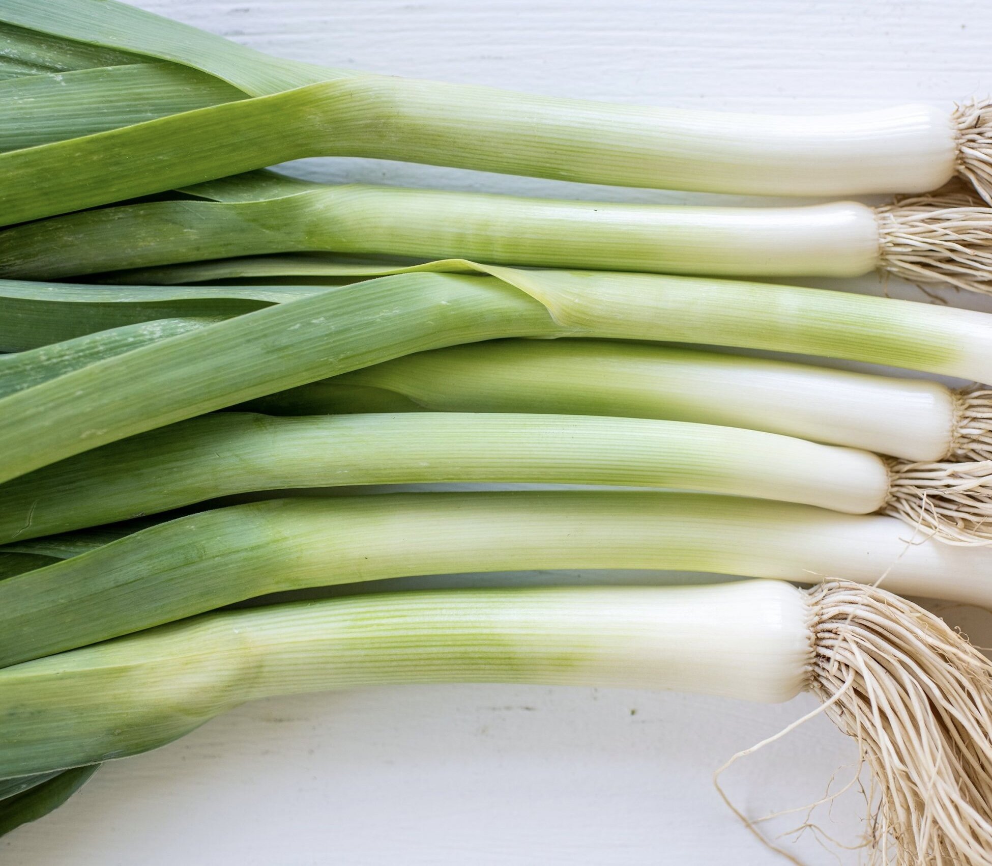 F2C01089-A4C1-4881-A2F0-7BD48889DEC3