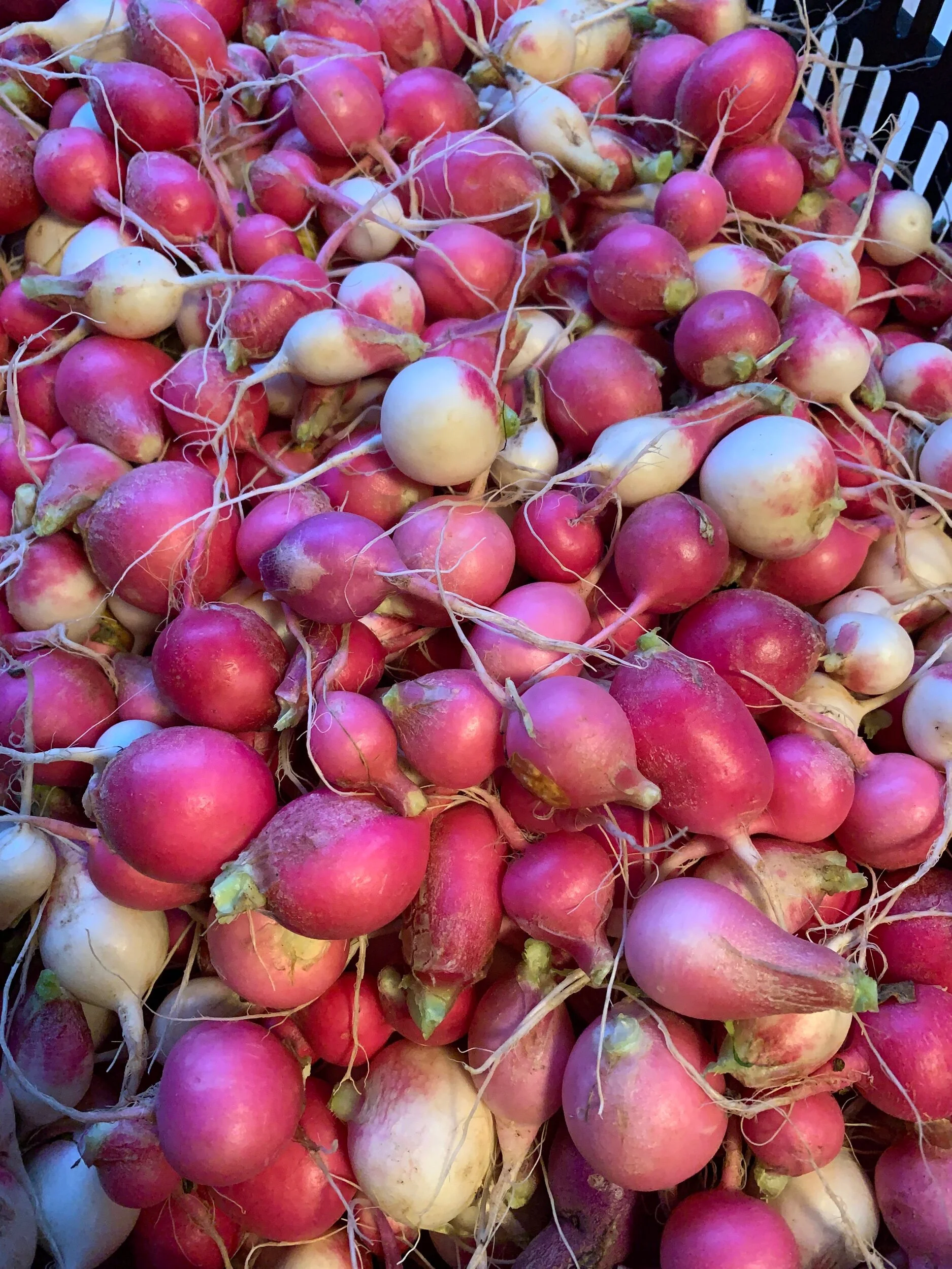 2F06F06E-46AF-44FF-A27A-860BBBD54B74