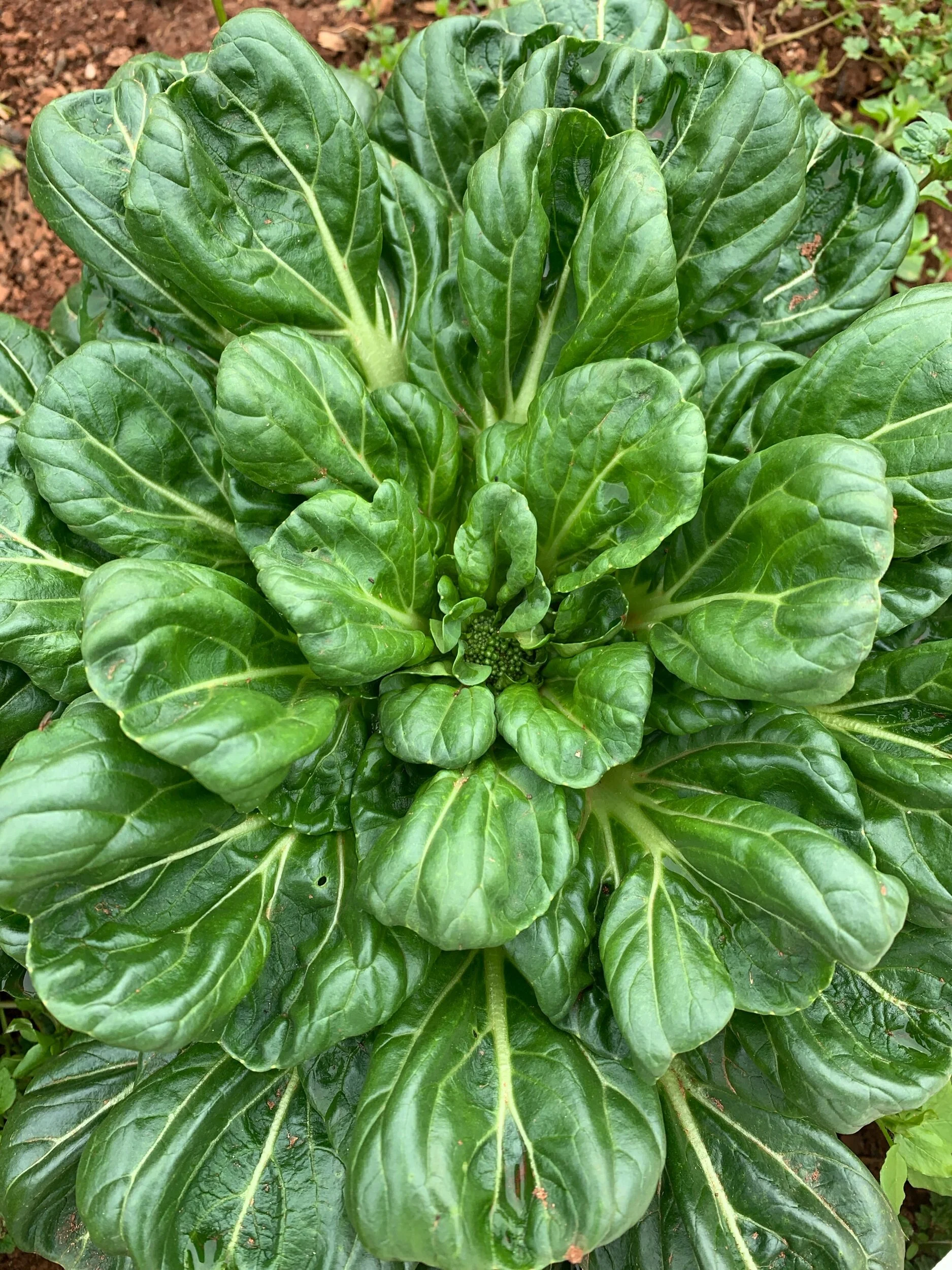 FFDF21C2-FA46-4889-93A5-6ABB2C88AB13