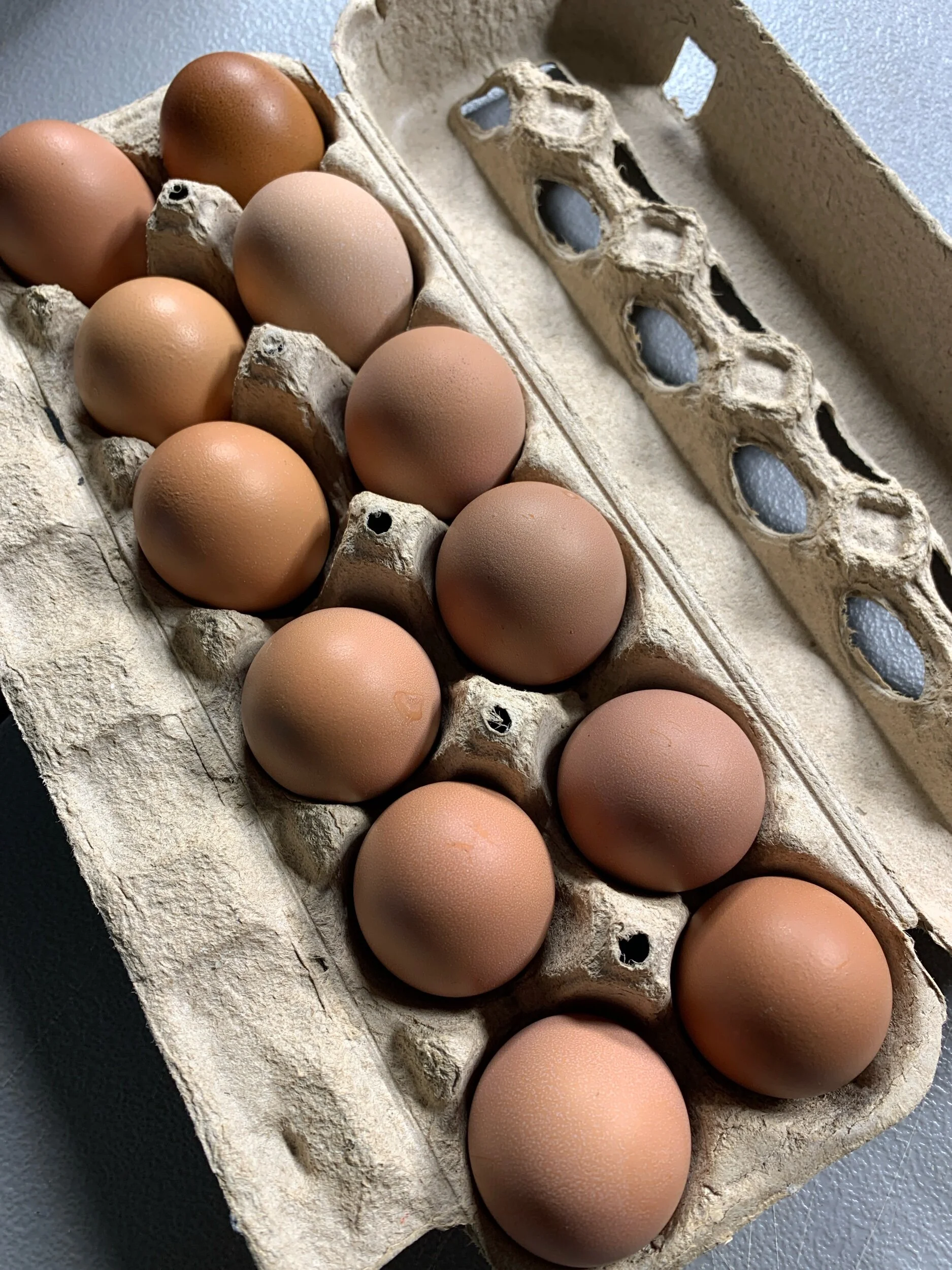 24B64465-A4EC-4C4D-AAAB-44E6DB291DAB