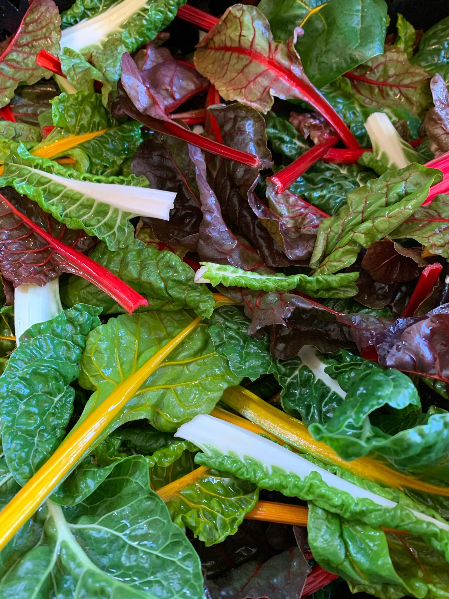 C116549C-6C0C-4813-AE61-FD2A963D97F9