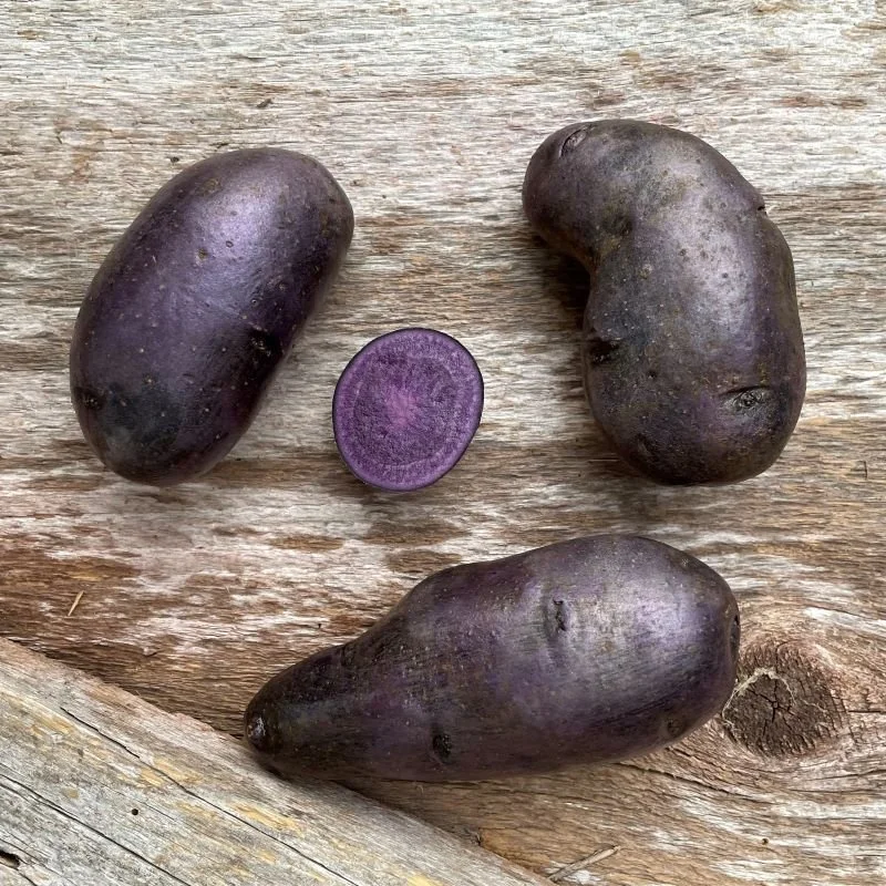 Potatoes - Fingerlings, Purple Fiesta