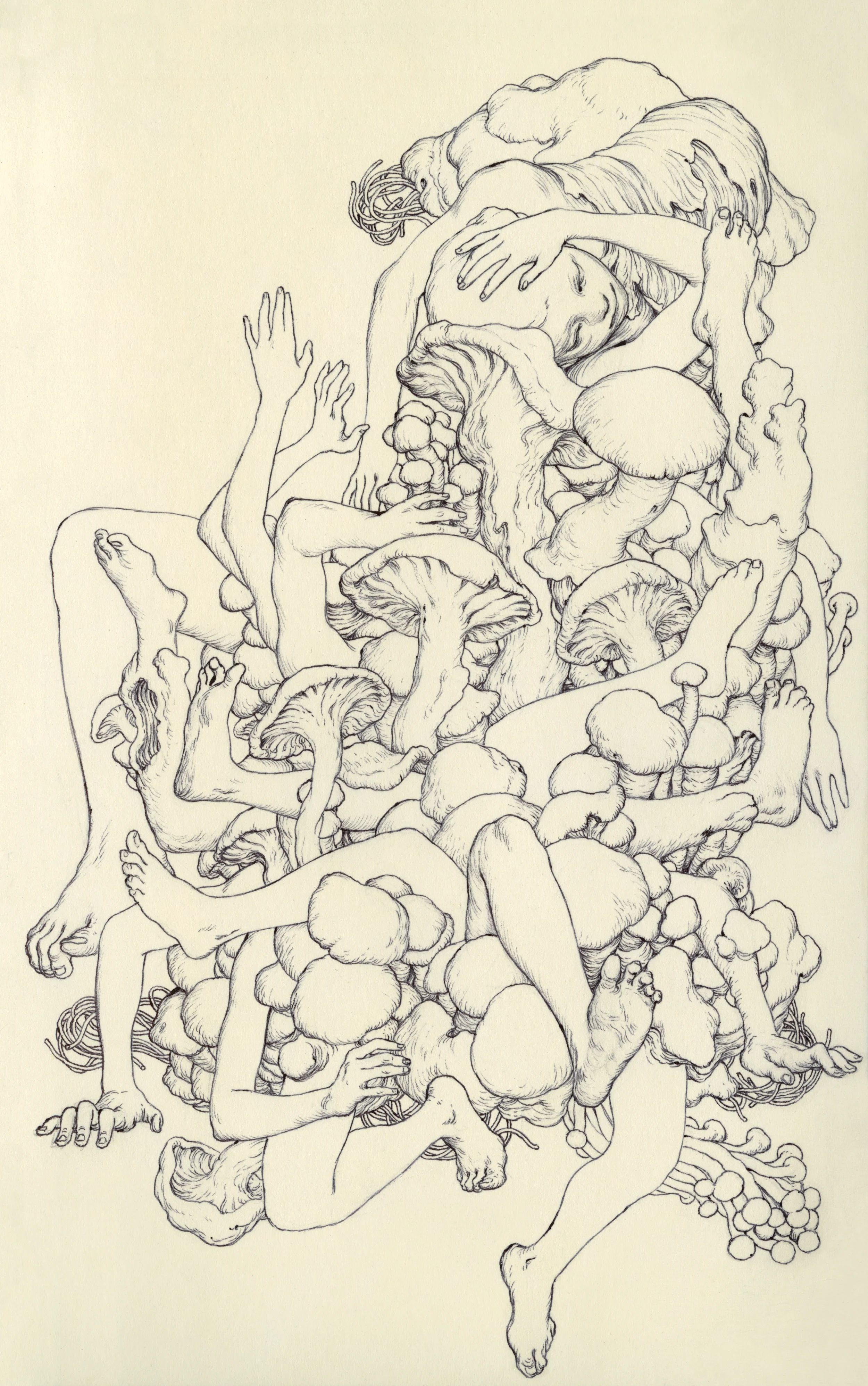 Fungi V