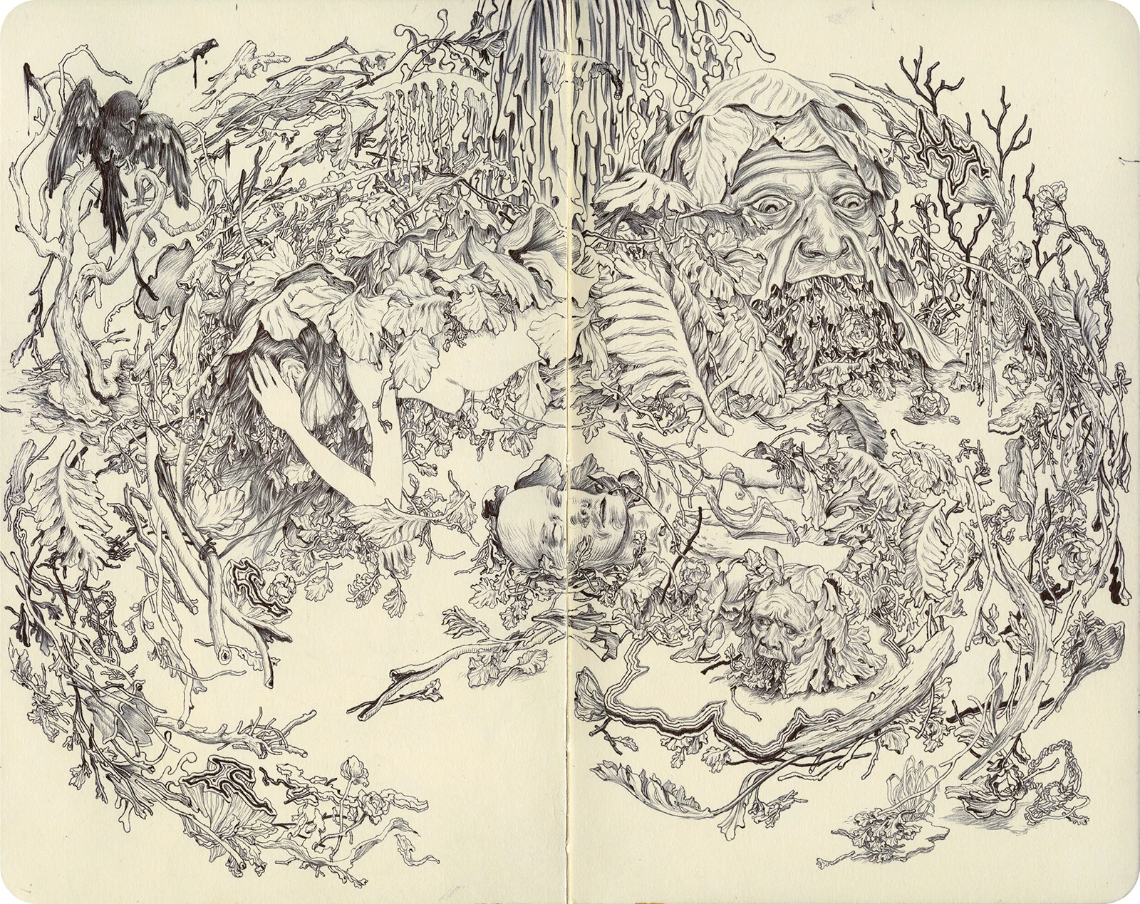 Nest