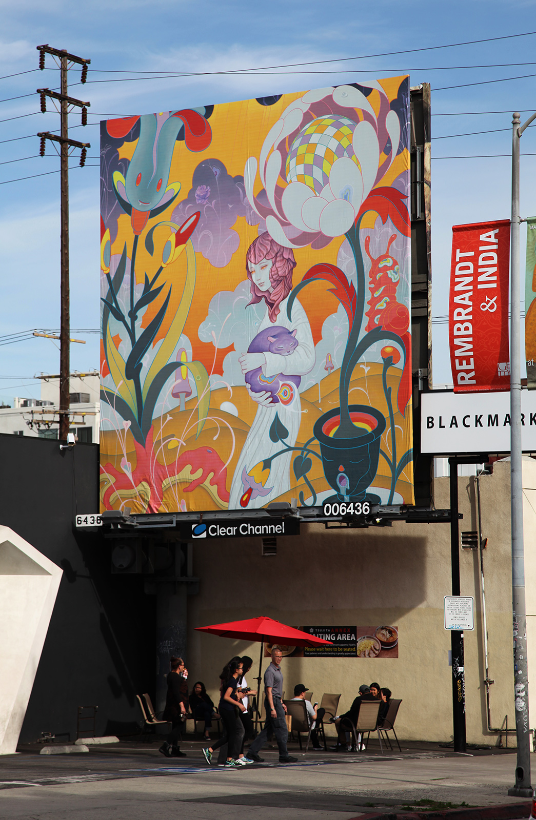 Schrödinger's Kitten Rescue