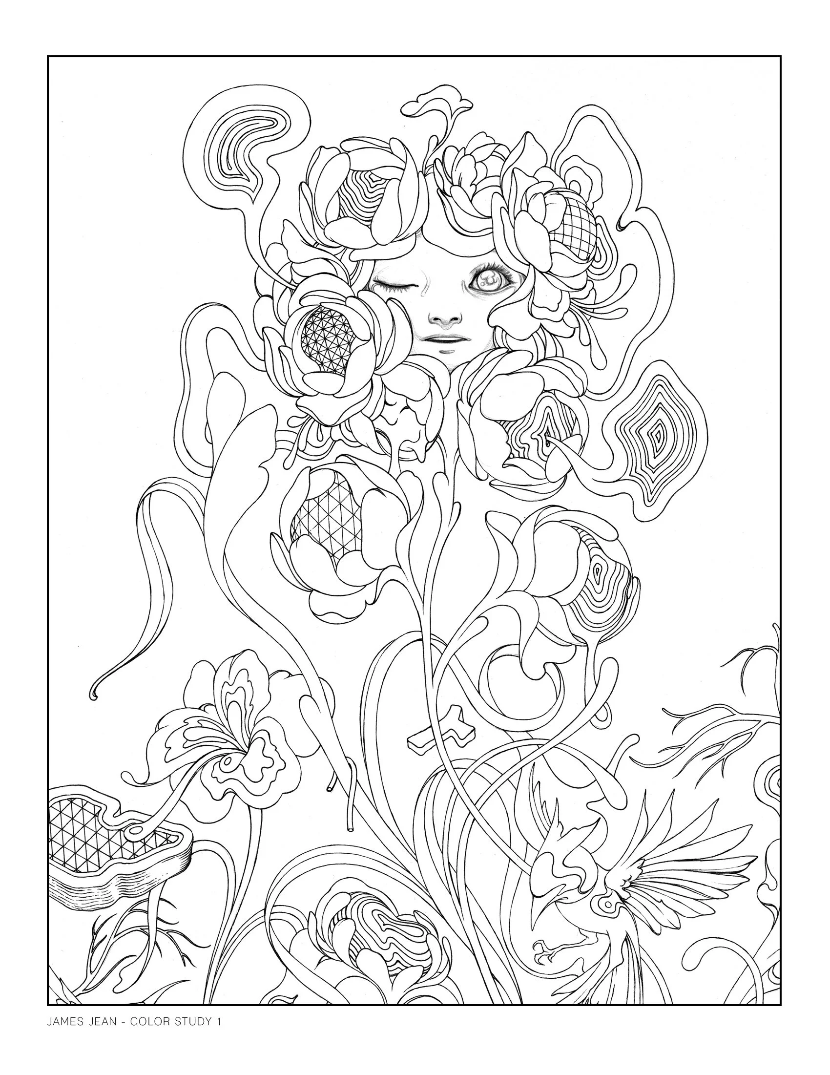 jamesjean-colorstudy1.jpg