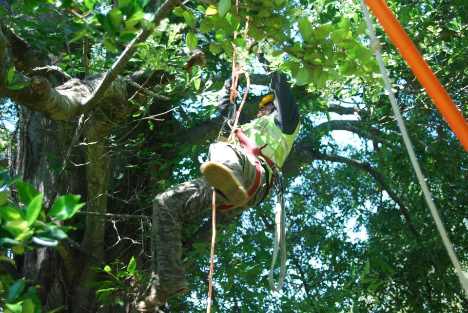 climber.jpg