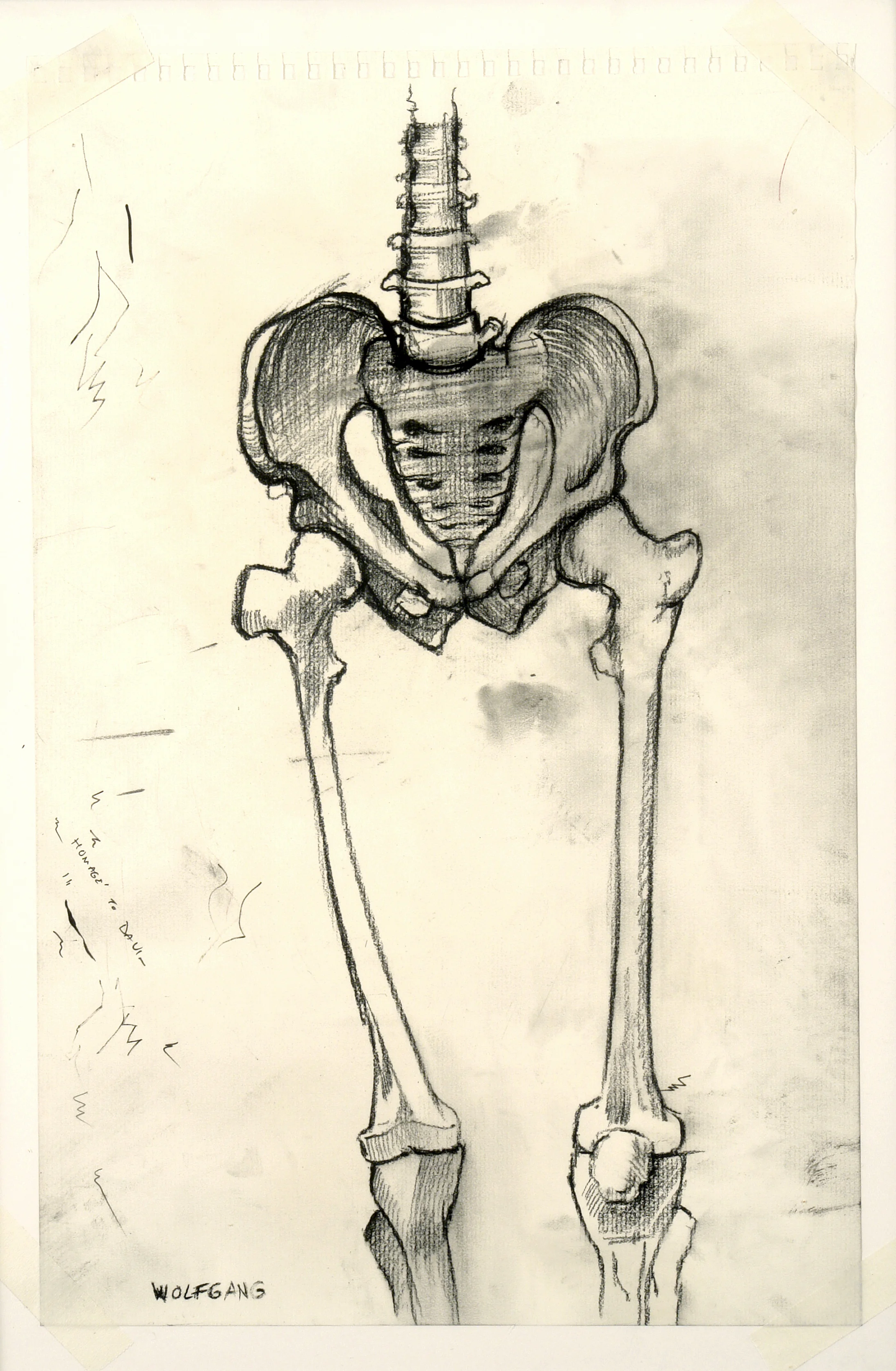Study