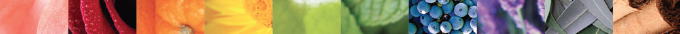 Screen Shot 2014-08-07 at 4.07.50 PM.png