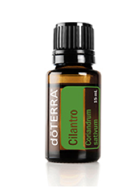 Cilantro