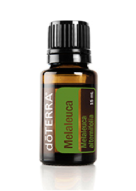 Melaleuca