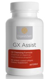 GX ASSIST®