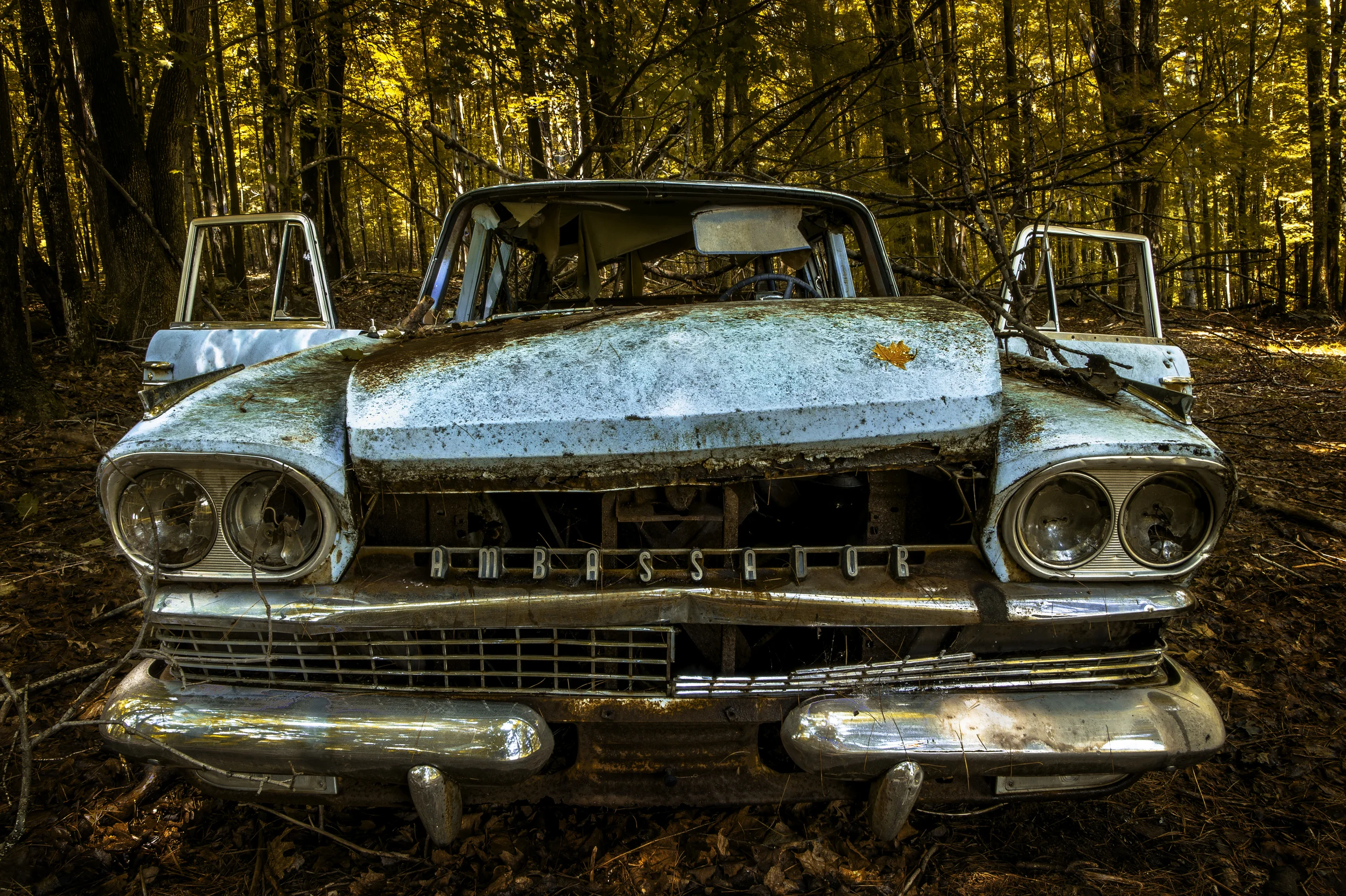 Vintage Car