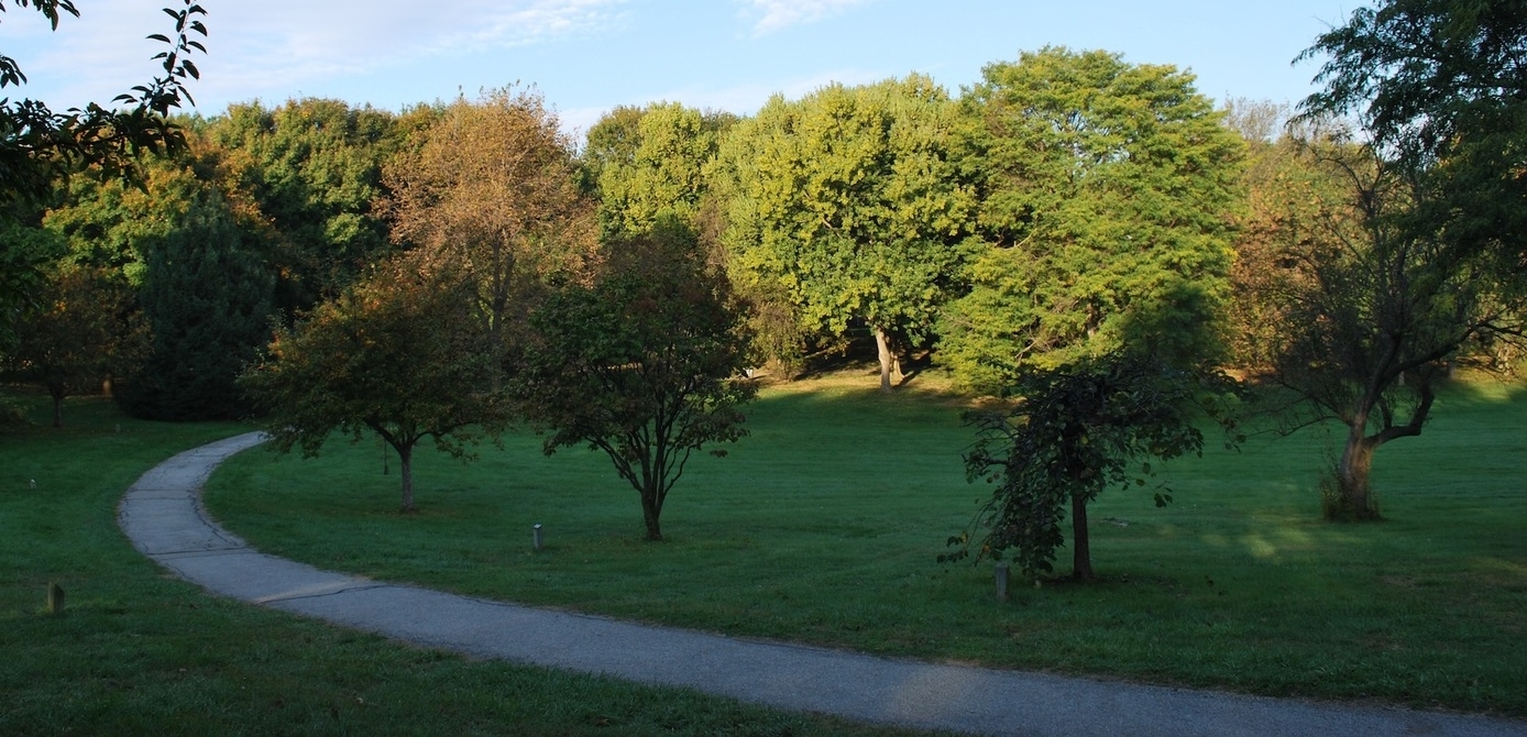 DSC_0015low.jpg