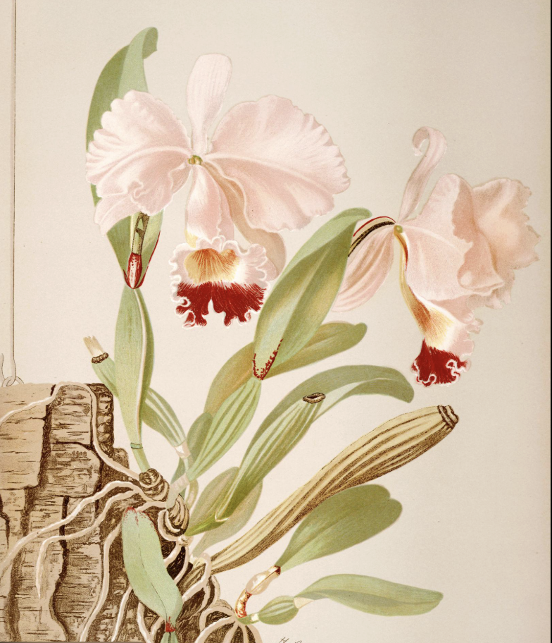 Screenshot 2026-03-09 at 1.32.35 PM.png