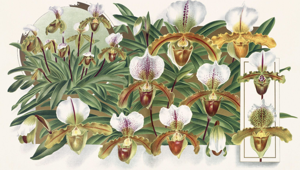 Screenshot 2026-03-09 at 1.22.34 PM.png