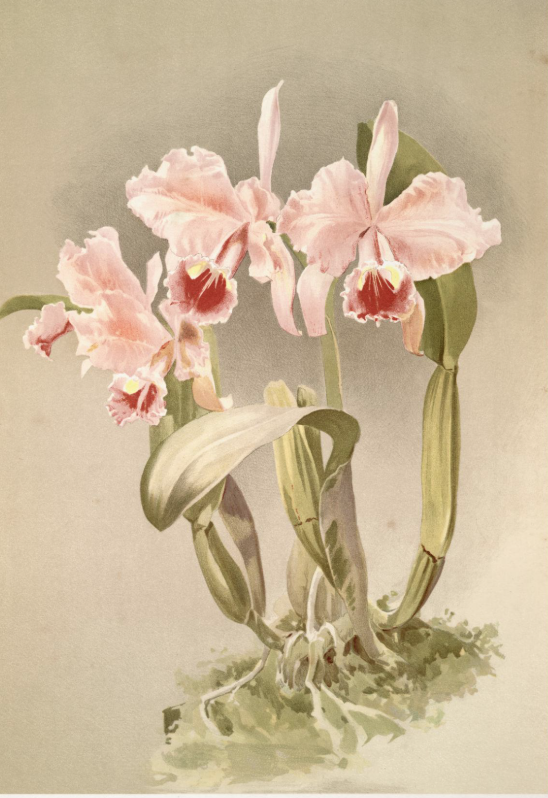 Screenshot 2026-03-09 at 1.32.27 PM.png