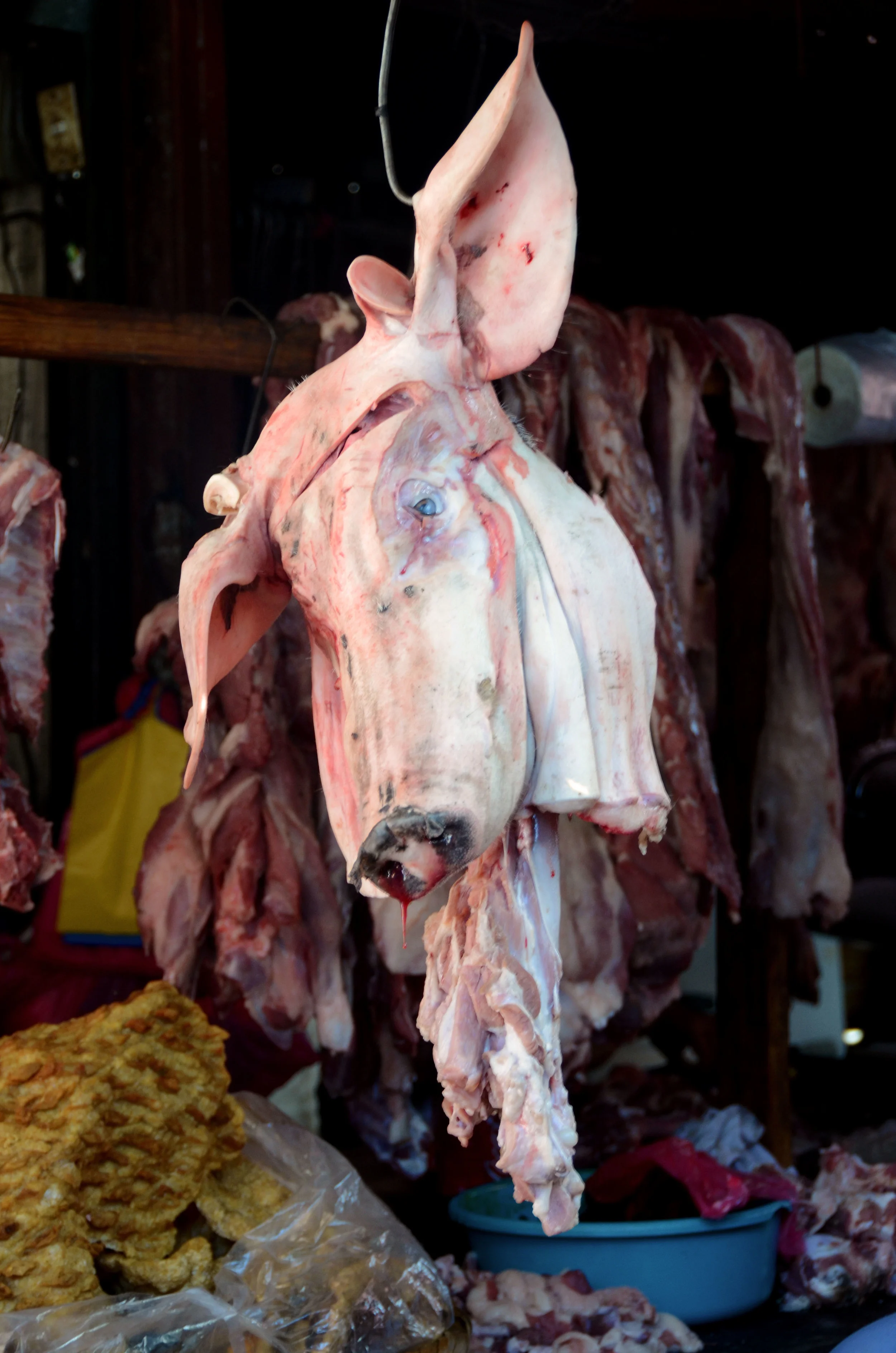 Photo: Elizabeth Kay