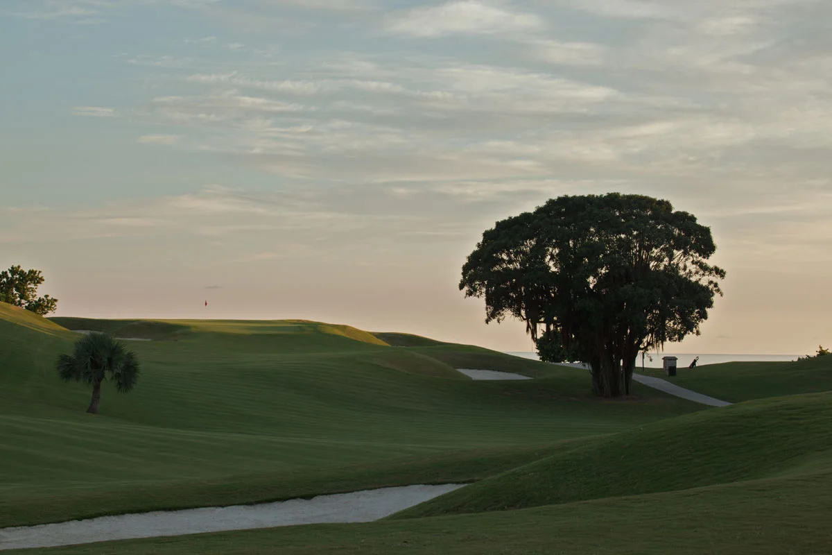 Port Royal 7