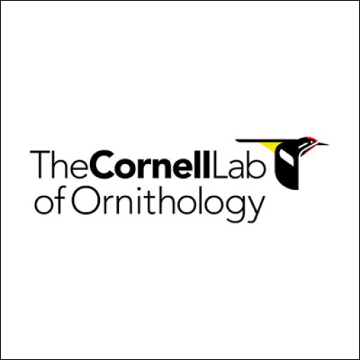 Cornell CahowCam Collaboration