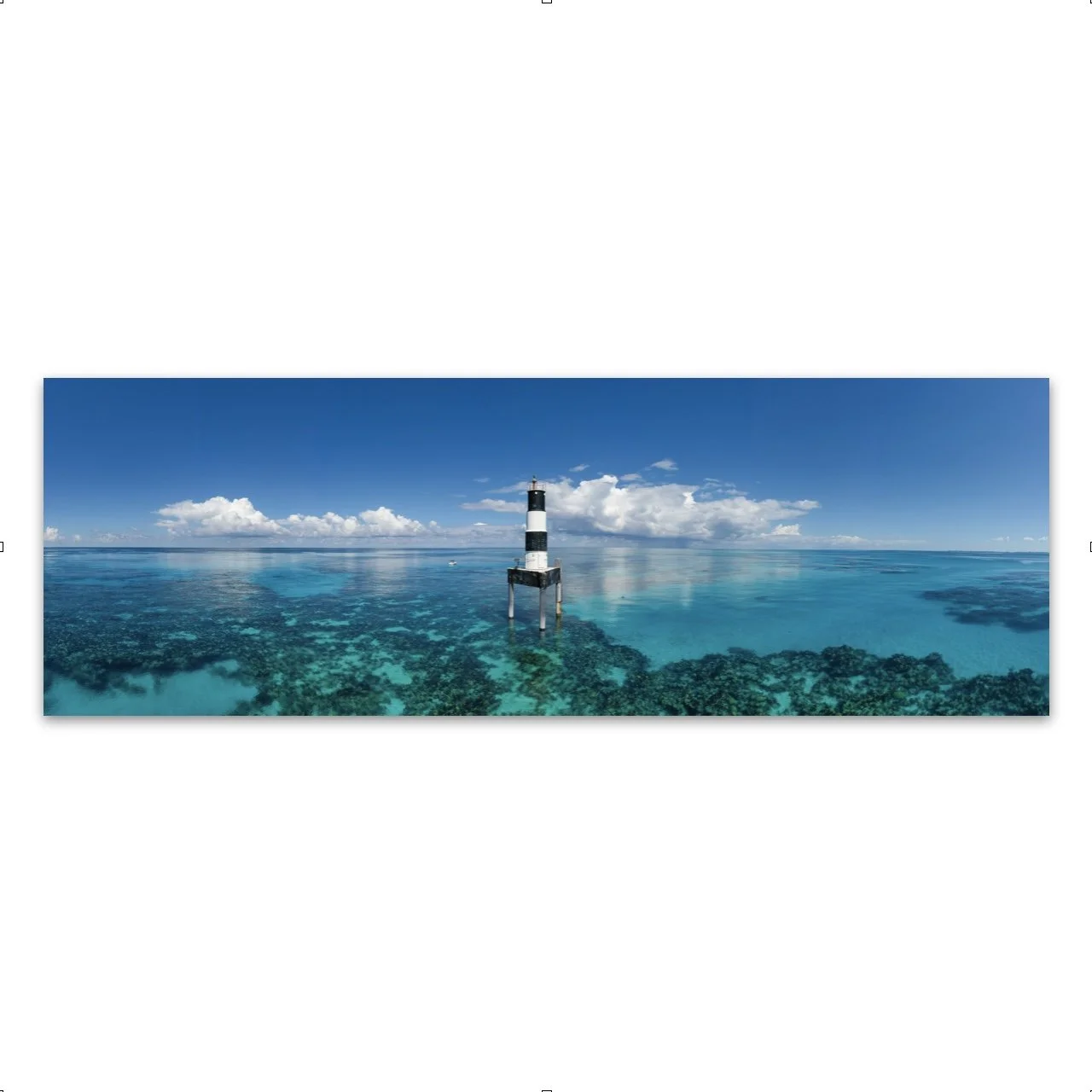 Screen Shot 2022-11-27 at 2.35.11 PM.jpg