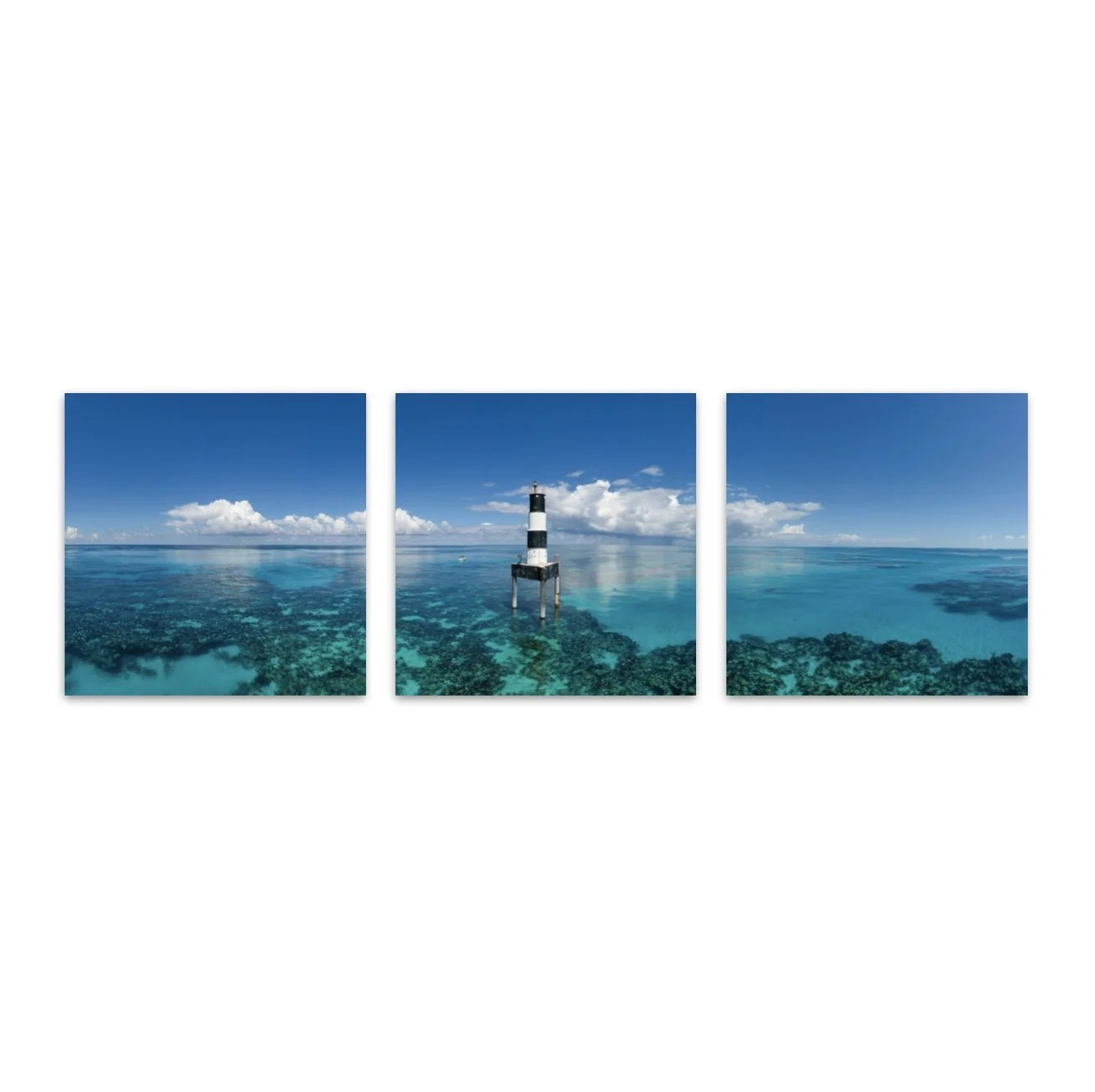 Screen Shot 2022-12-05 at 5.32.40 AM.jpg