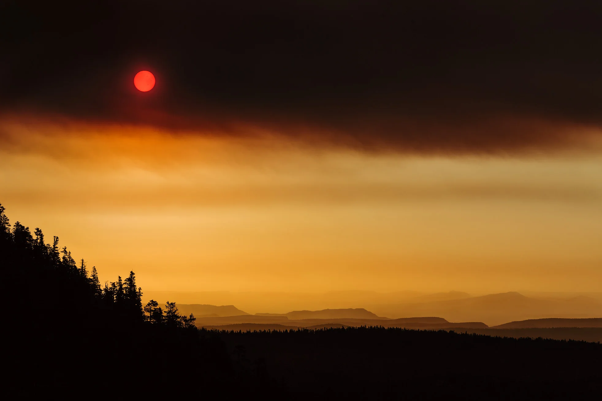 Sunrise Through Smoke