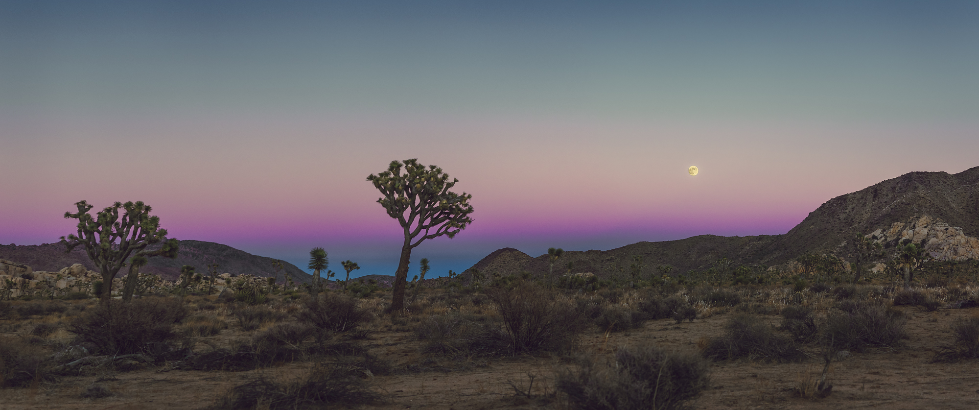 Umbra Moonrise Over Joshua Tree