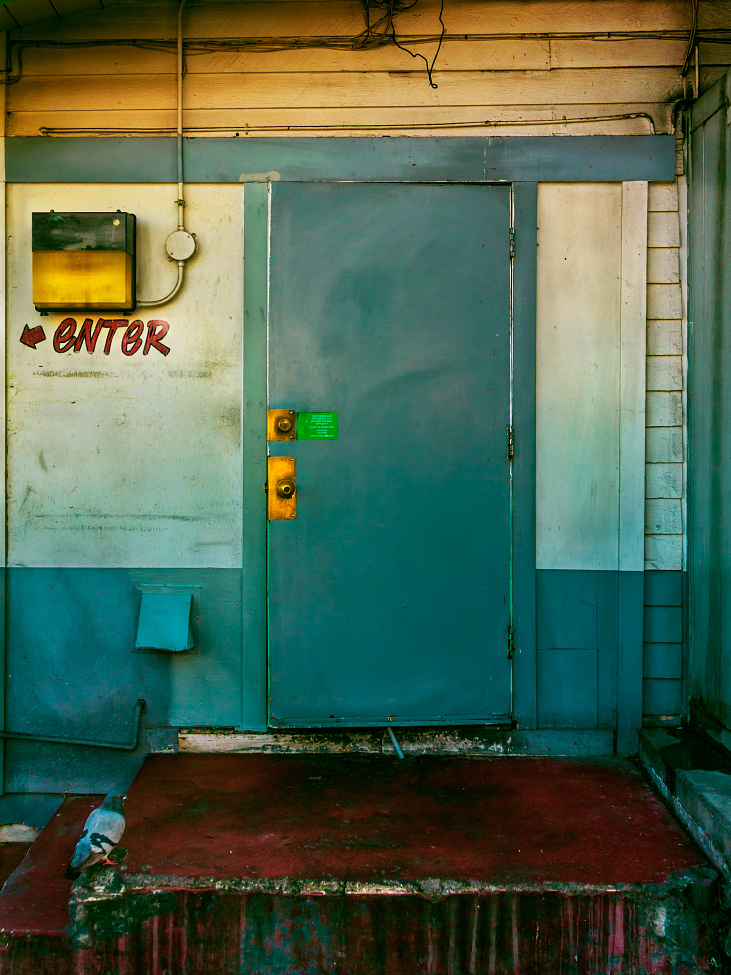 |#6| Myrtle Green Two-tone wall with sodium light and greasy maroon stairs. Rogue pigeon perched on the precipice, praying for provisions...possibly.