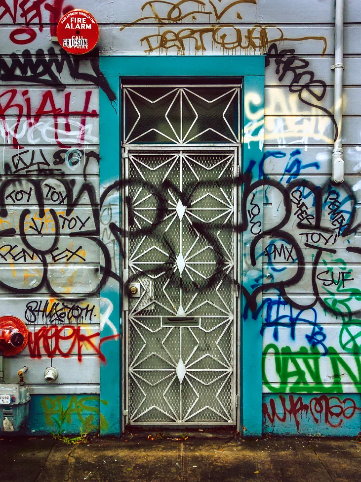 |#22| Artichoke Modern day cave paintings; doodles without destination. Deco gate protects against any further attacks. Fire alarms, hydrant hookups, and water meters; unscathed.