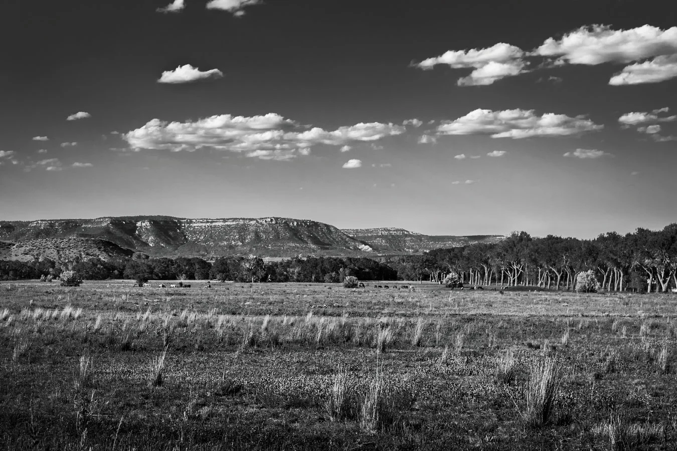 Buffalo Pasture Staff Parking Lot Philmont Scout Ranch Cimarron New Mexico