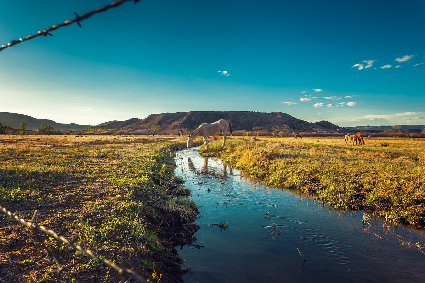 Horse Mesa Philmont Scout Ranch Cimarron New Mexico