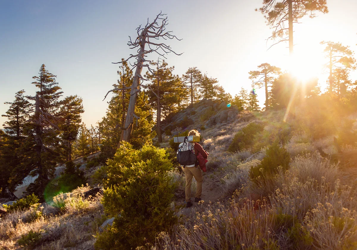 Sunrise on Fuller Ridge, mile 187.5.