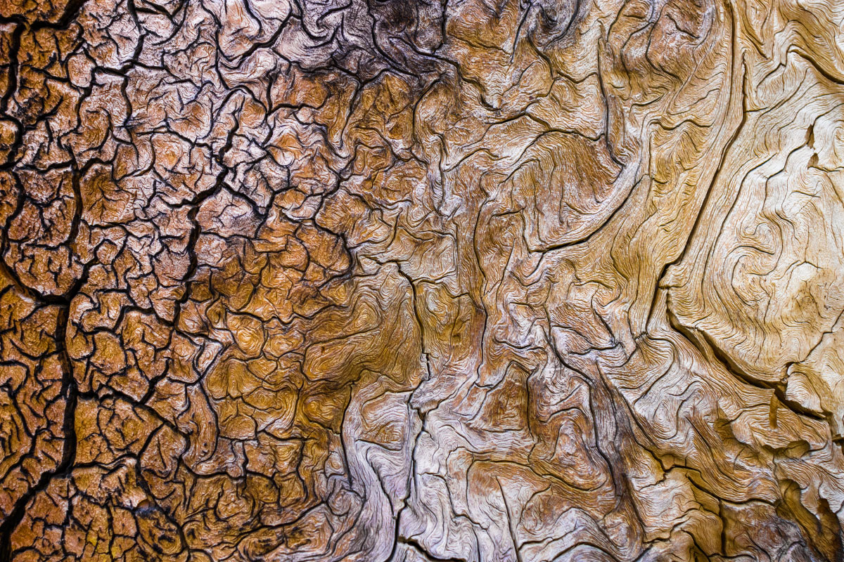 Sun worn wood texture.